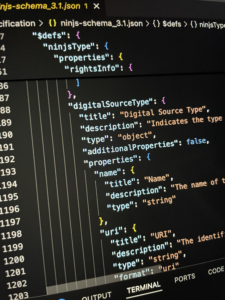 photo of a computer screen showing a portion of the ninjs 3.1 schema featuring the new Digital Source Type property
